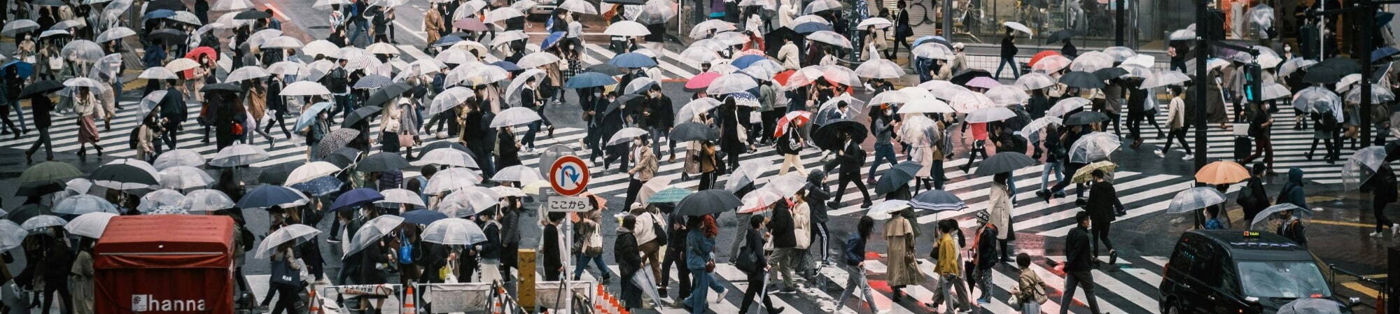 A large group of individuals with colorful umbrellas, strolling along the street.